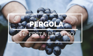 pergola 47 festa del Vino