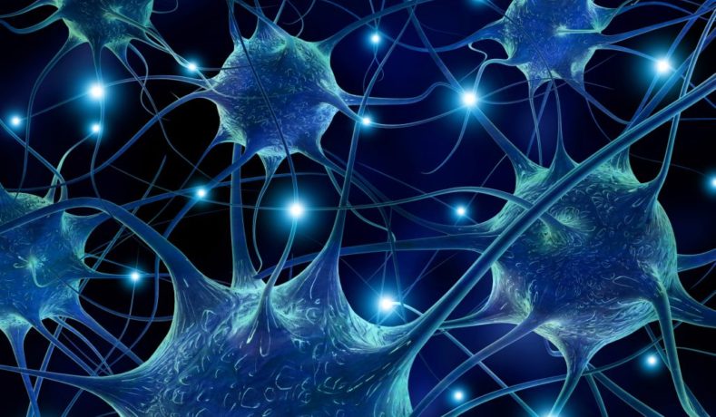 Ascorbato di potassio: che cos’è, a cosa serve e come si usa